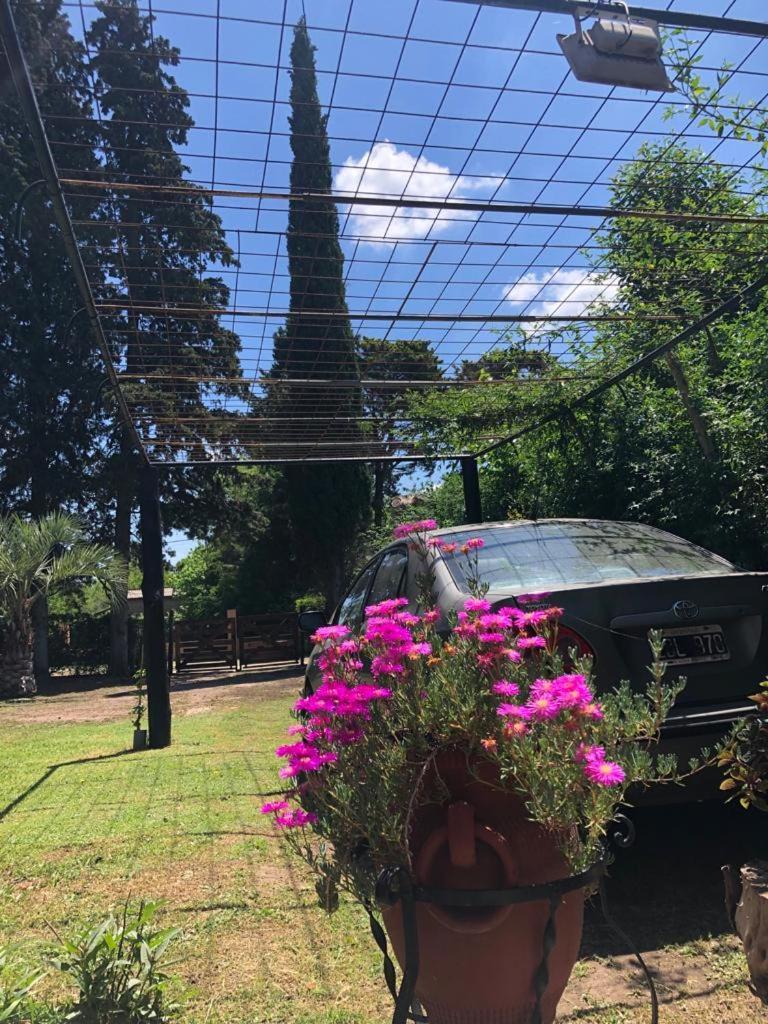 Villa Ezeiza Quinta Cedro Azul 10 Min Del Aeropuerto Exterior foto